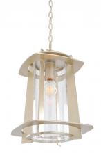  401851TS - Shelby Medium Hanging Lantern